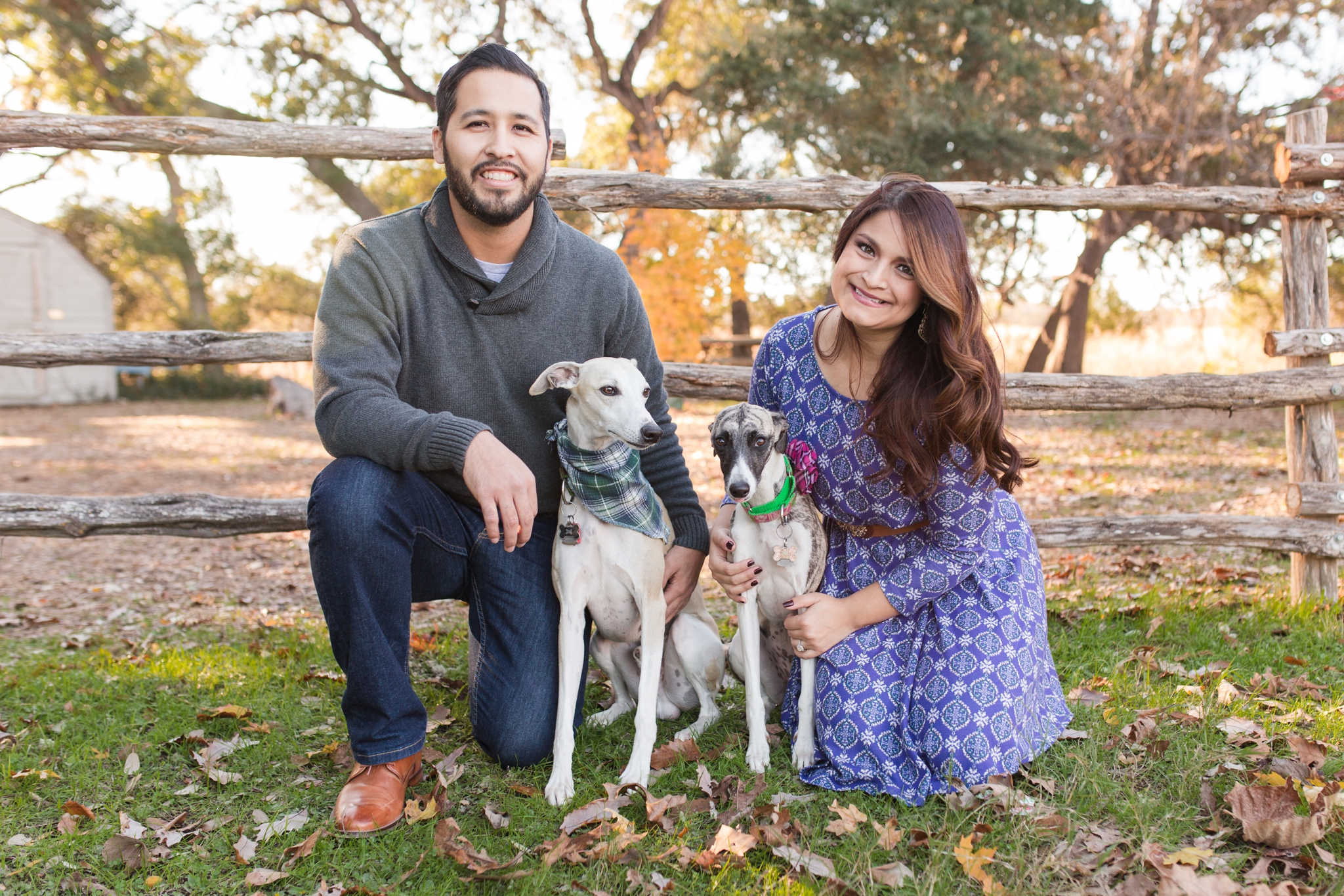 Autumn Engagement Session with Whippets at Cibolo Nature Center by Dawn Elizabeth Studios