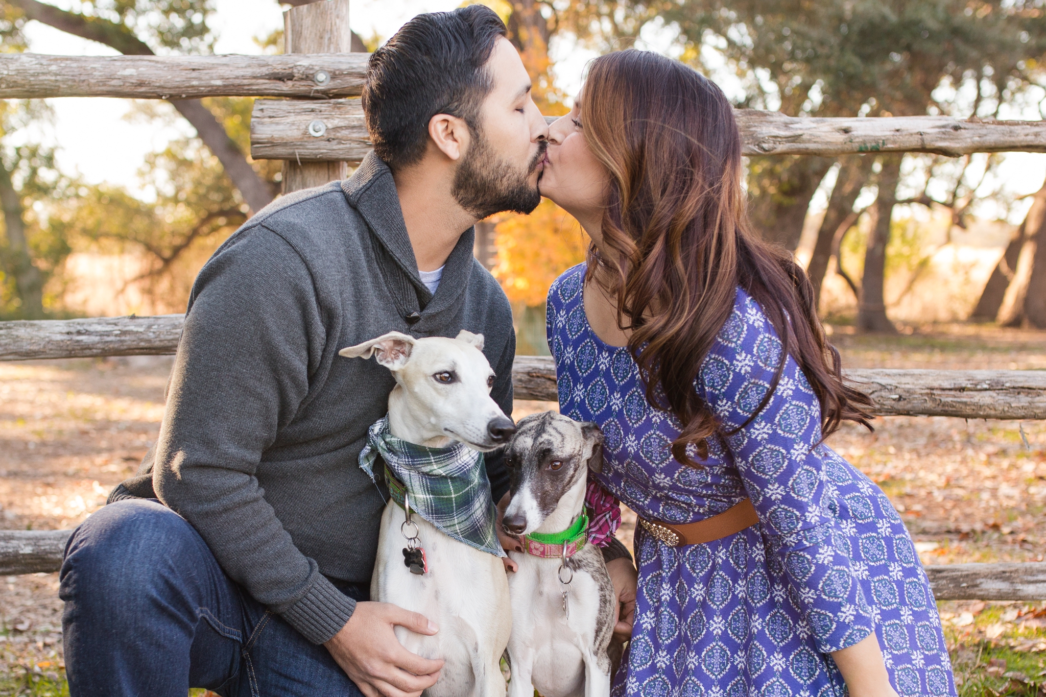Autumn Engagement Session with Whippets at Cibolo Nature Center by Dawn Elizabeth Studios