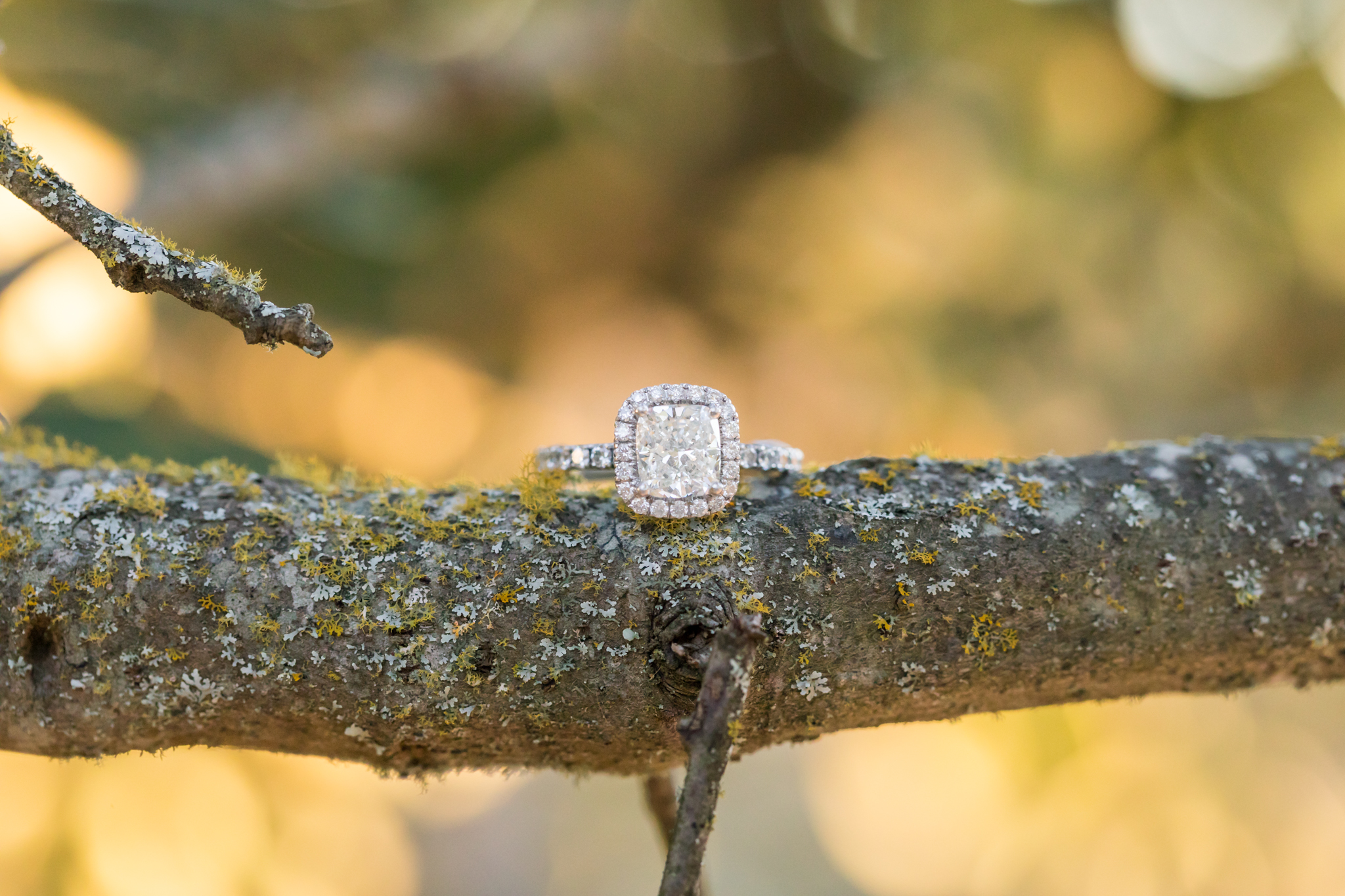 An Engagement Session at Cibolo Nature Center in Boerne, TX by Dawn Elizabeth Studios, Boerne Wedding Photographer