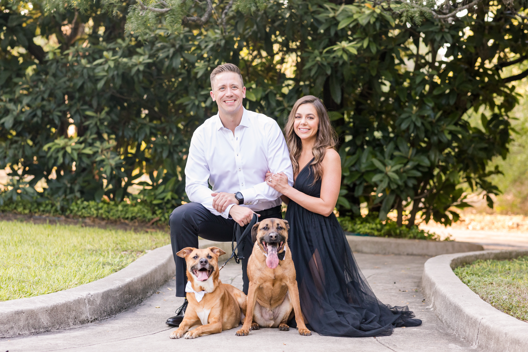 An Elegant Engagement Session at Landa Library with Dogs in San Antonio, TX by Dawn Elizabeth Studios, San Antonio Wedding Photographer & Portrait Photographer